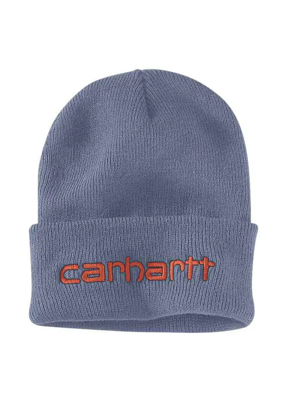 Carhartt Knit Insulated Logo Graphic Cuffed Beanie