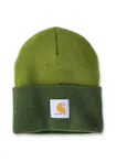Moss