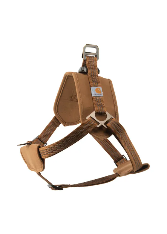 Carhartt Training Harness — P000341