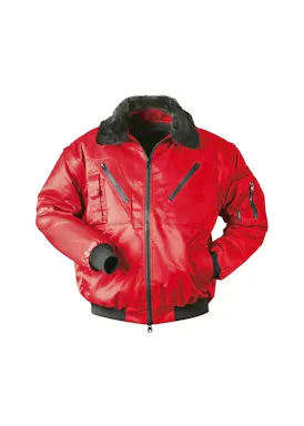 Proway Protection Pilot PWK-2001 rot