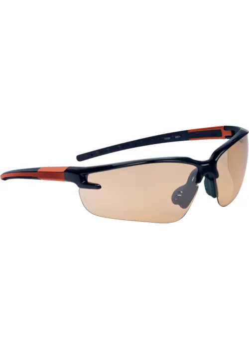 Delta Plus Bril Fuji2