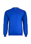 Koningsblauw (Bright Royal)