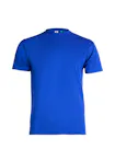 Koningsblauw (Bright Royal)