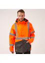 Helly Hansen Alta Winter Jacket miniatuur