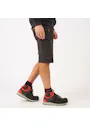 Helly Hansen Chelsea Evolution Cons Shorts  miniatuur