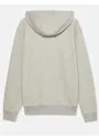 Dickies DK0A4XTO Regular Fleece Hoodie Vorschaubild