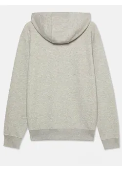 Dickies DK0A4XTO Regular Fleece Hoodie miniatuur