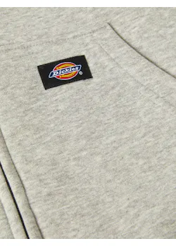 Dickies DK0A4XTO Regular Fleece Hoodie miniatuur