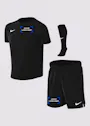 Nike Dri-FIT Park VIII Voetbaltenue Kleuters HV8260 miniatuur