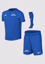 Nike Dri-FIT Park VIII Voetbaltenue Kleuters HV8260 miniatuur