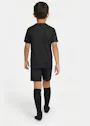 Nike Dri-FIT Park VIII Voetbaltenue Kleuters HV8260 miniatuur