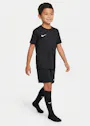 Nike Dri-FIT Park VIII Voetbaltenue Kleuters HV8260 miniatuur