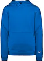 Nike Park Kids Fleece Voetbalhoodie IO9048 miniatuur