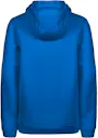 Nike Park Kids Fleece Voetbalhoodie IO9048 miniatuur