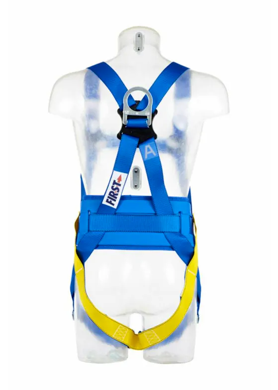 3M Protecta E50 Auffanggurt mit Gurt, AB17611UNI, blau, universell