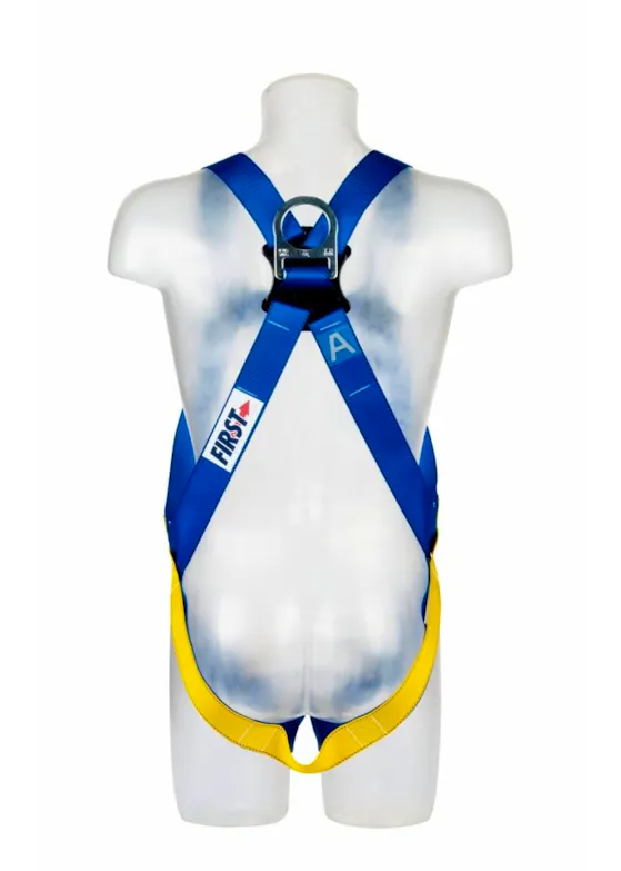 3M Protecta E50 Auffanggurt AB17511UNI, blau, universell