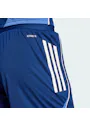 adidas Sport Tiro25 Competition Training Shorts Dames JSK10 miniatuur