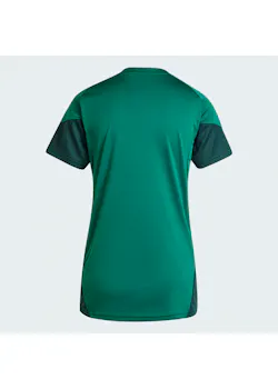adidas Sport Tiro25 Competition Training Jersey Dames JSK13 miniatuur