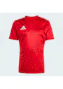 Adidas Team Icon 25 Jersey, Short-Sleeve KUI20 Vorschaubild