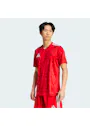 Adidas Team Icon 25 Jersey, Short-Sleeve KUI20 Vorschaubild