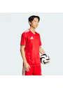 Adidas Team Icon 25 Jersey, Short-Sleeve KUI20 Vorschaubild