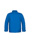 Koningsblauw (Bright Royal)