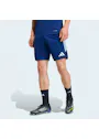 adidas Sport Tiro26 League Training Shorts QD559 miniatuur