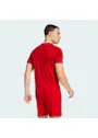 adidas Sport Entrada26 Jersey EA665 miniatuur