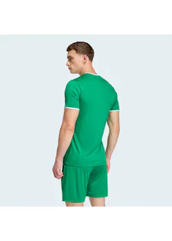 adidas Sport Entrada26 Jersey EA665 miniatuur