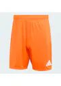 adidas Entrada26 Shorts OO227 miniatuur