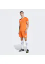 adidas Entrada26 Shorts OO227 miniatuur