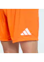adidas Entrada26 Shorts OO227 miniatuur
