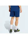 adidas Entrada26 Shorts OO227 miniatuur