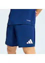 adidas Entrada26 Shorts OO227 miniatuur