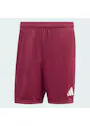 adidas Entrada26 Shorts OO227 miniatuur