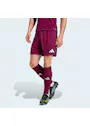 adidas Entrada26 Shorts OO227 miniatuur