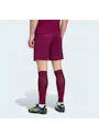 adidas Entrada26 Shorts OO227 miniatuur