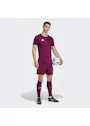 adidas Entrada26 Shorts OO227 miniatuur
