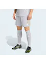 adidas Entrada26 Shorts OO227 miniatuur