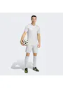 adidas Entrada26 Shorts OO227 miniatuur