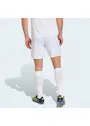 adidas Entrada26 Shorts OO227 miniatuur
