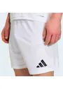 adidas Entrada26 Shorts OO227 miniatuur