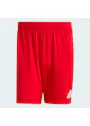adidas Entrada26 Shorts OO227 miniatuur