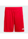 adidas Entrada26 Shorts OO227 miniatuur