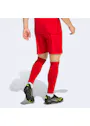 adidas Entrada26 Shorts OO227 miniatuur