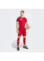 adidas Entrada26 Shorts OO227 miniatuur