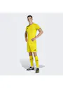 adidas Entrada26 Shorts OO227 miniatuur