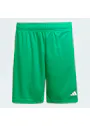 adidas Entrada26 Shorts OO227 miniatuur