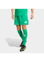 adidas Entrada26 Shorts OO227 miniatuur