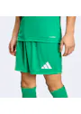 adidas Entrada26 Shorts OO227 miniatuur